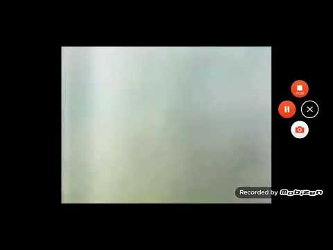 All bugs scream raid. Part 7