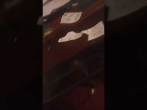 all logos gets expelled in angry p head's class