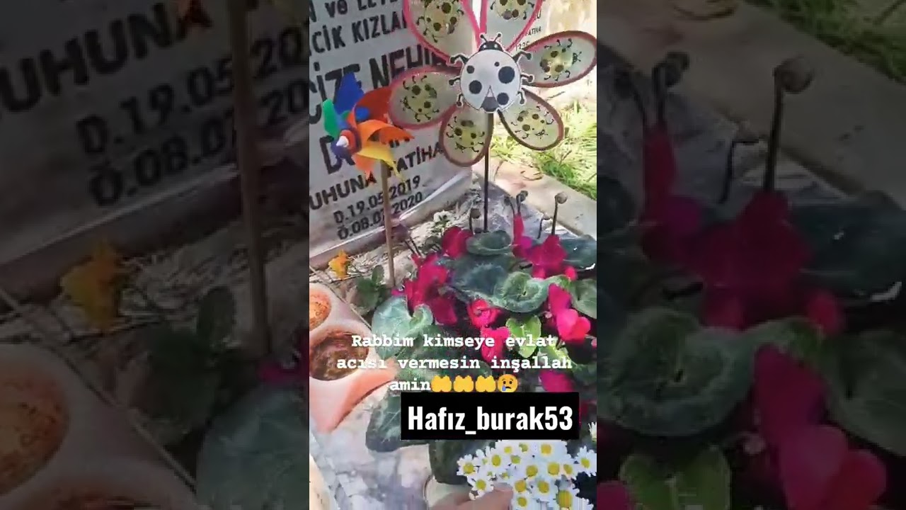 Allah kimseye evlat acısı vermesin ❤#shorts #short #reels #keşfet #kuran #subhanallah #new #dua