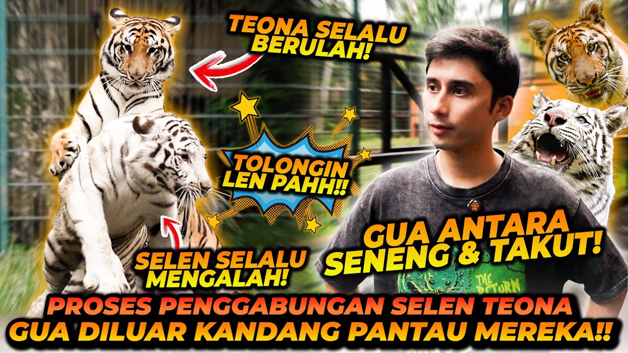 ALSHAD TINGGALKAN SELEN DAN TEONA BERDUA DI KANDANG TANPA PENJAGAAN ! INI TITIK TER BARBAR MEREKA !