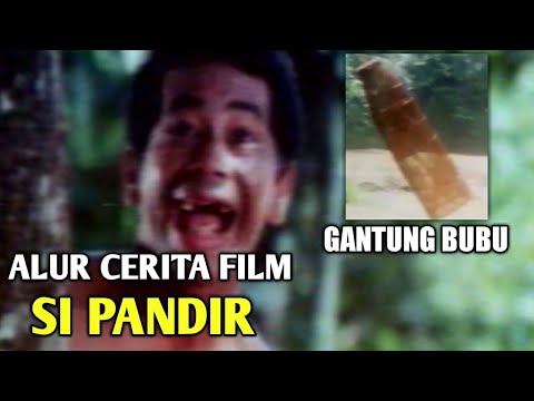 Alur Cerita Film - Si Pandir 1992