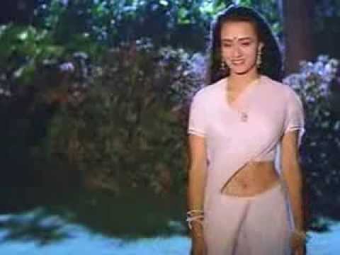 amala saree below navel