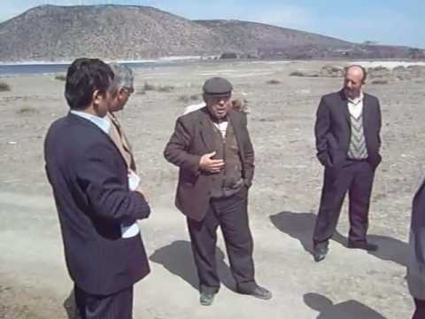 amat dayı