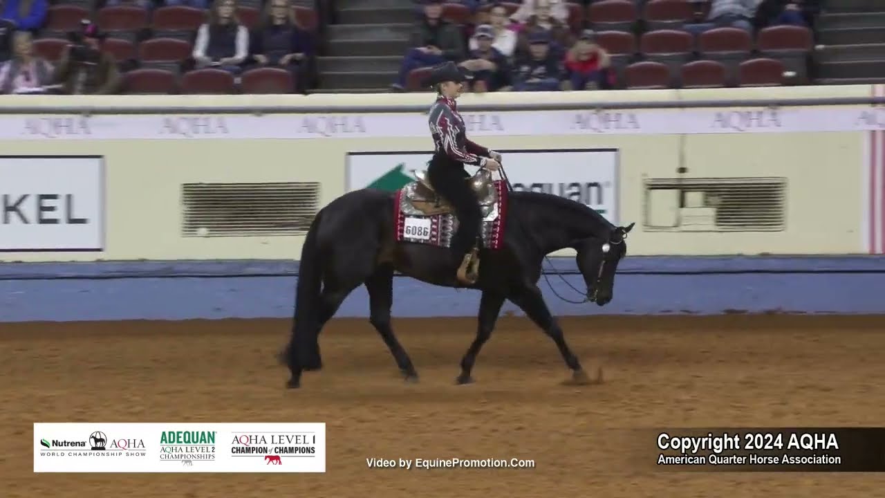 Amateur Horsemanship - 2024 AQHA World Championship Show