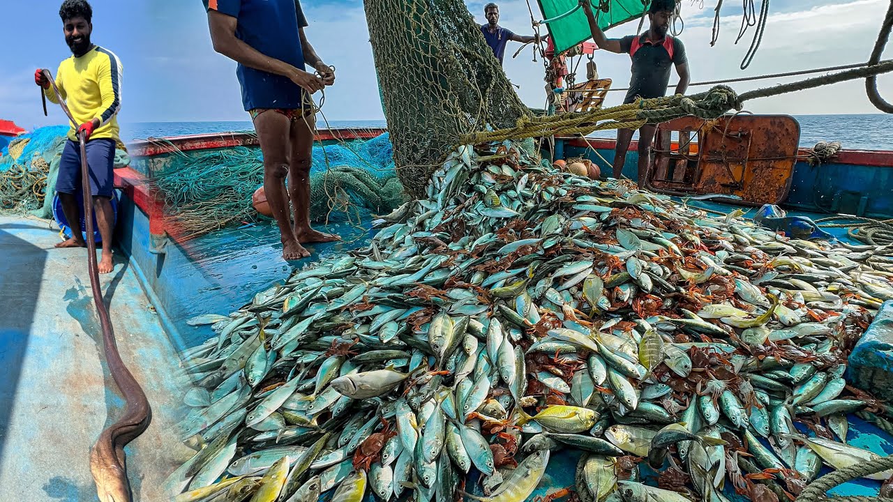 AMAZING! 🤩 We Caught Tons of Mackerel and Trevally Fish in a Single Catch! 😃WOW!