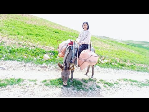 Amazing girl : Amazing Mountain Girl Riding Donkey 🌳🏕