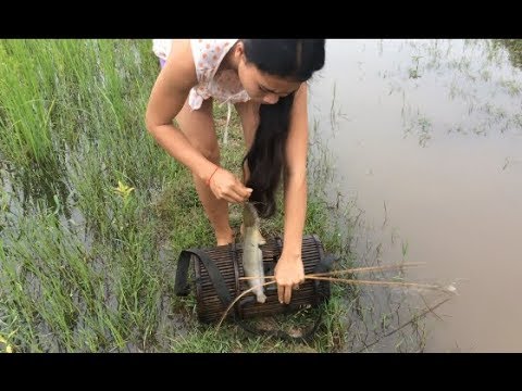 Amazing girl Fishing, Khmer Real Life Fishing At Siem Reap Cambodia