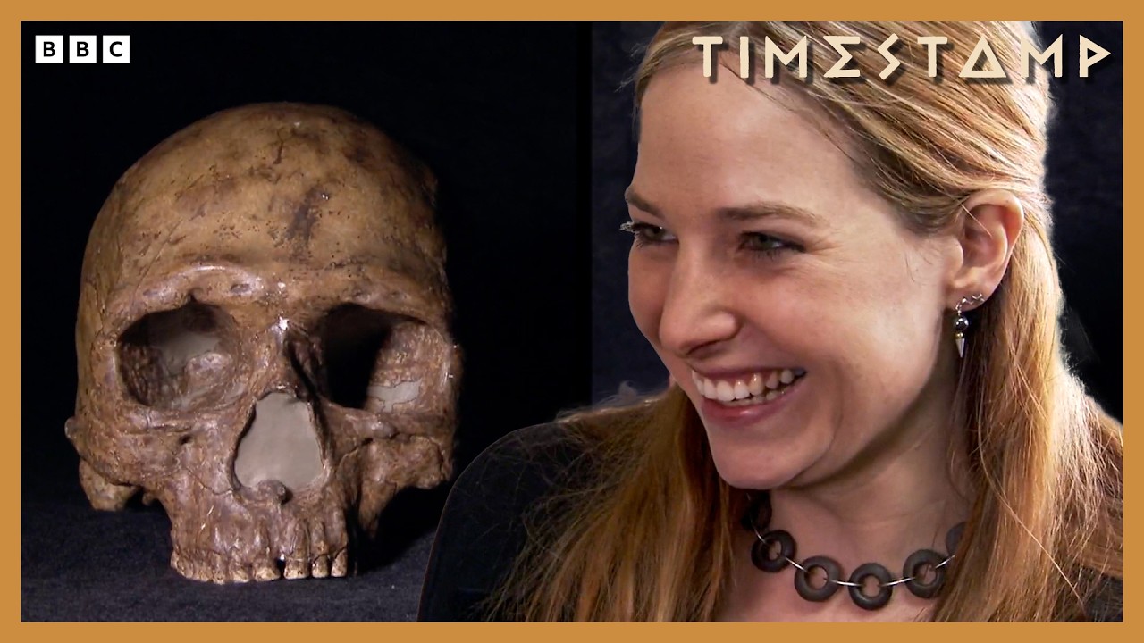 ‘Amazing’ Homo Erectus Fossil Prompts Controversial Origin Theory | BBC Timestamp