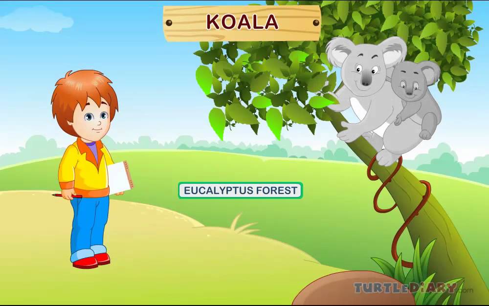 Amazing Wild Animals! *Animal Science for Kids*