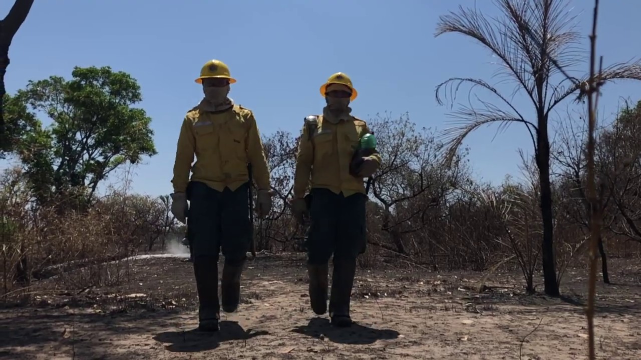 Amazon Fires, Xingu Indigenous Park (Mato Grosso, August 2019)