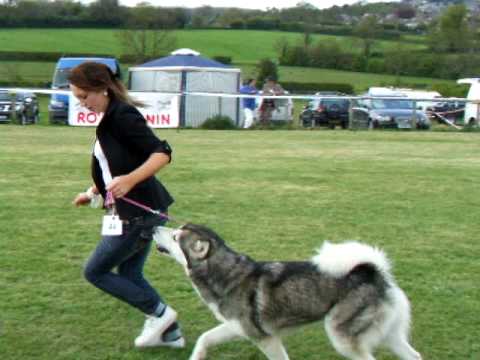 amcuk show 15th may 2010 102.AVI