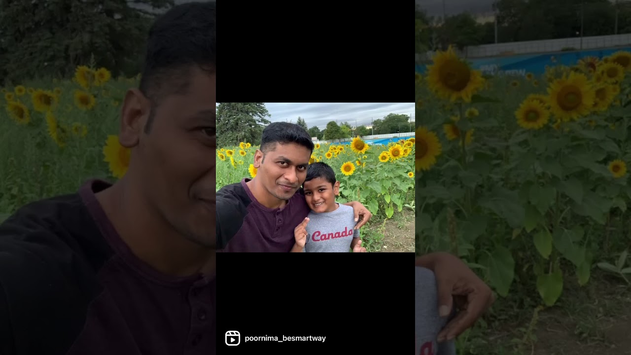 #america #tamil #Manjakattumaina #colors #yellow #sunflower #trending