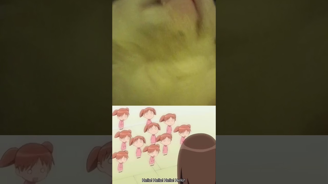 America ya😾💨 #anime #animeedit #memes #chichi #kawaii #cute #funny #chiyo #cat #catvideos
