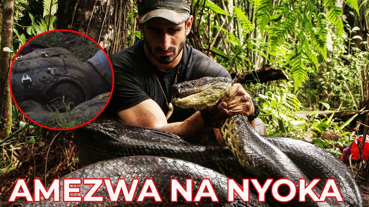 AMEZWA NA NYOKA (ANACONDA) ILI AMCHUNGUZE NDANI : #USICHUKULIEPOA