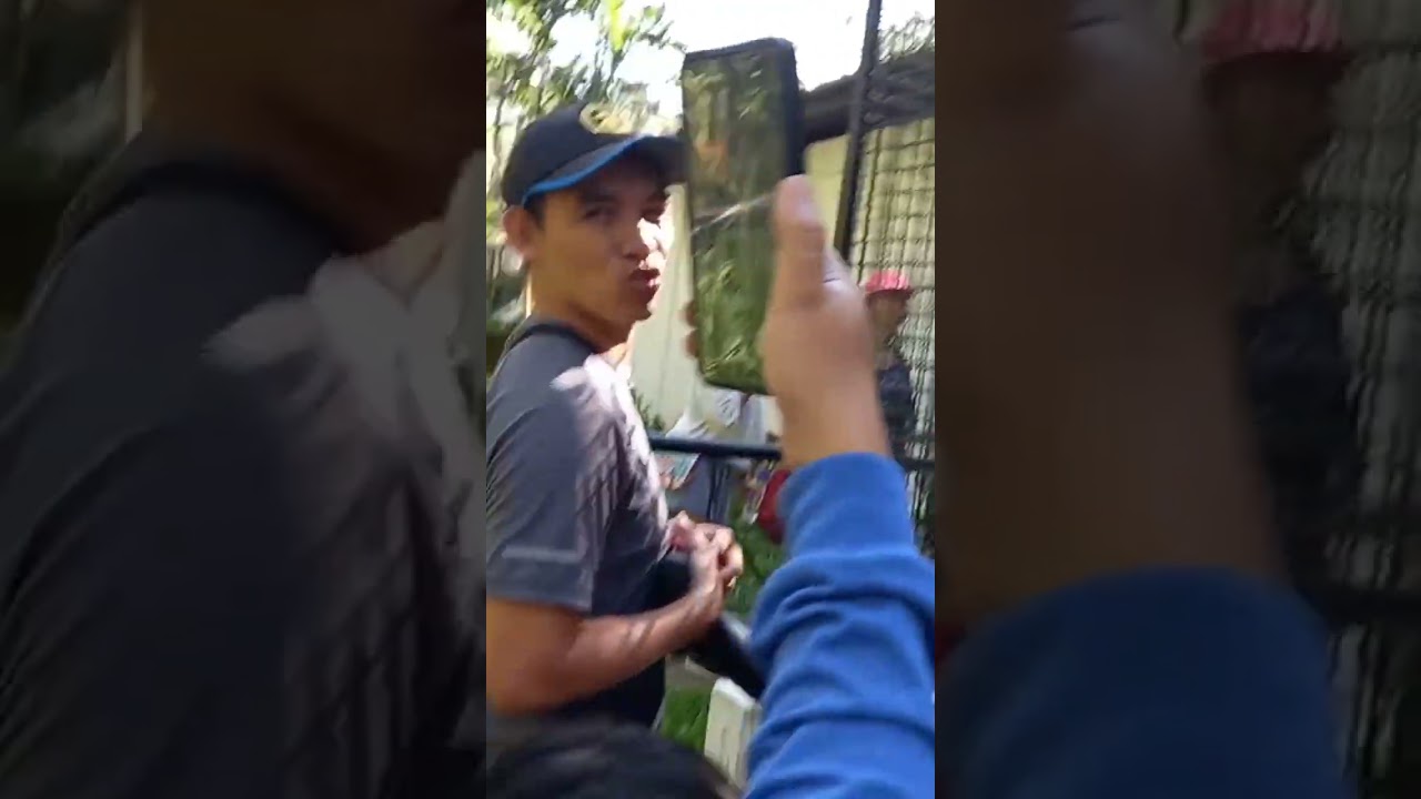 amizing kalaw bird in zoo