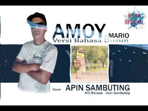 AMOY(Cover By Apin S)