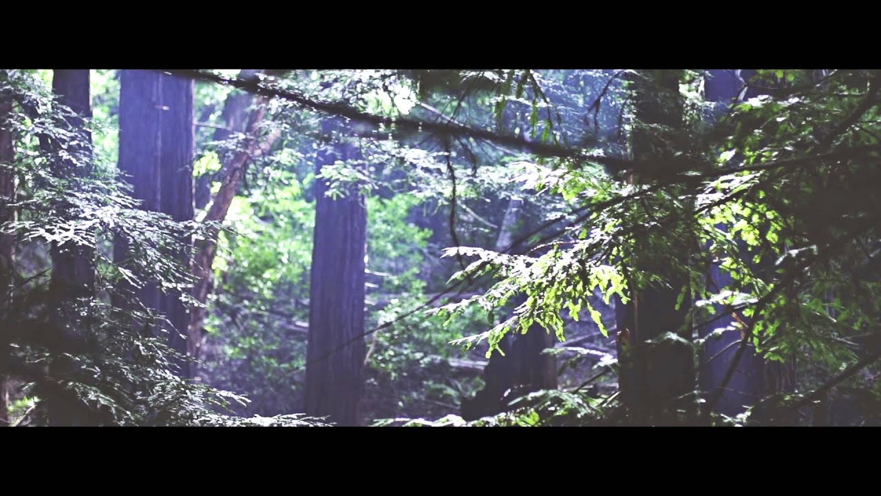 Amp Live - D.H.E.A. (Official Music Video)