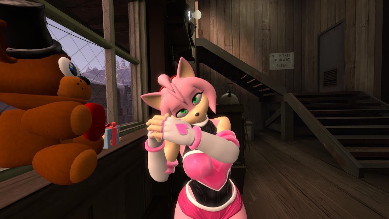 Amy Rose Becomes Your Wife[SFM Sonic animation]