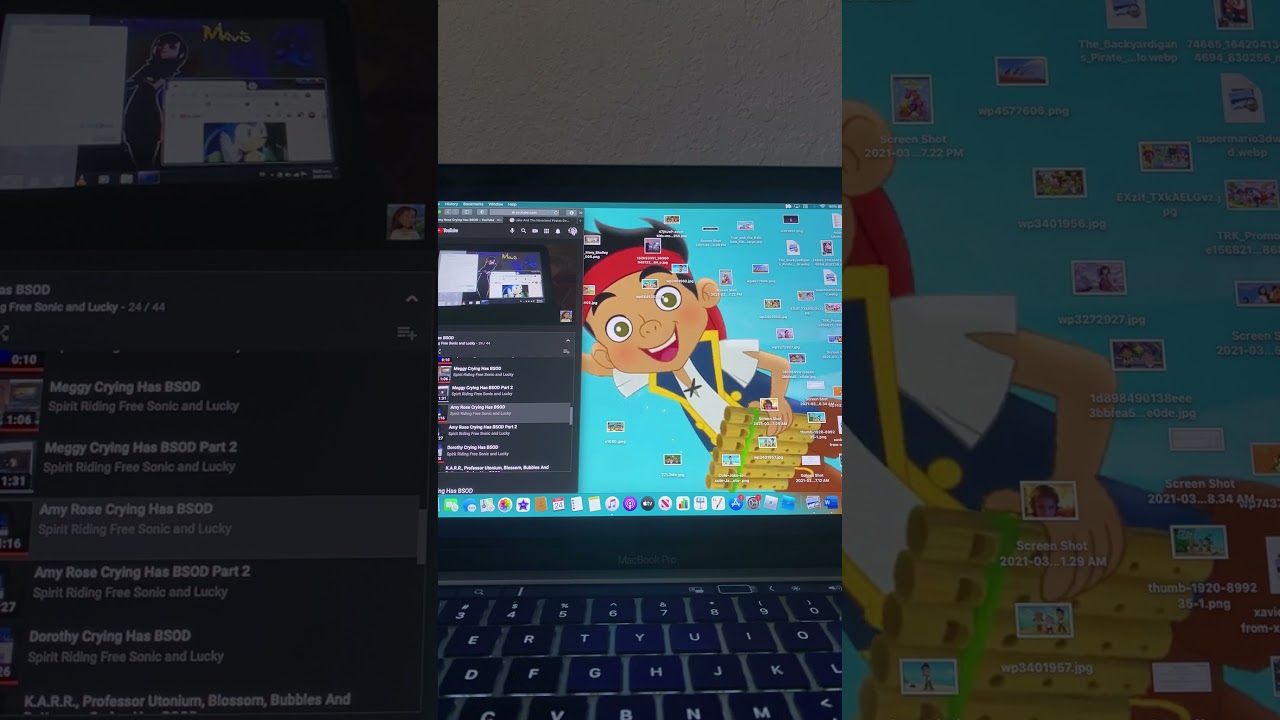 Amy Rose Crying Has BSOD