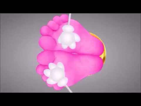 Amy Rose’s Toes Tickles