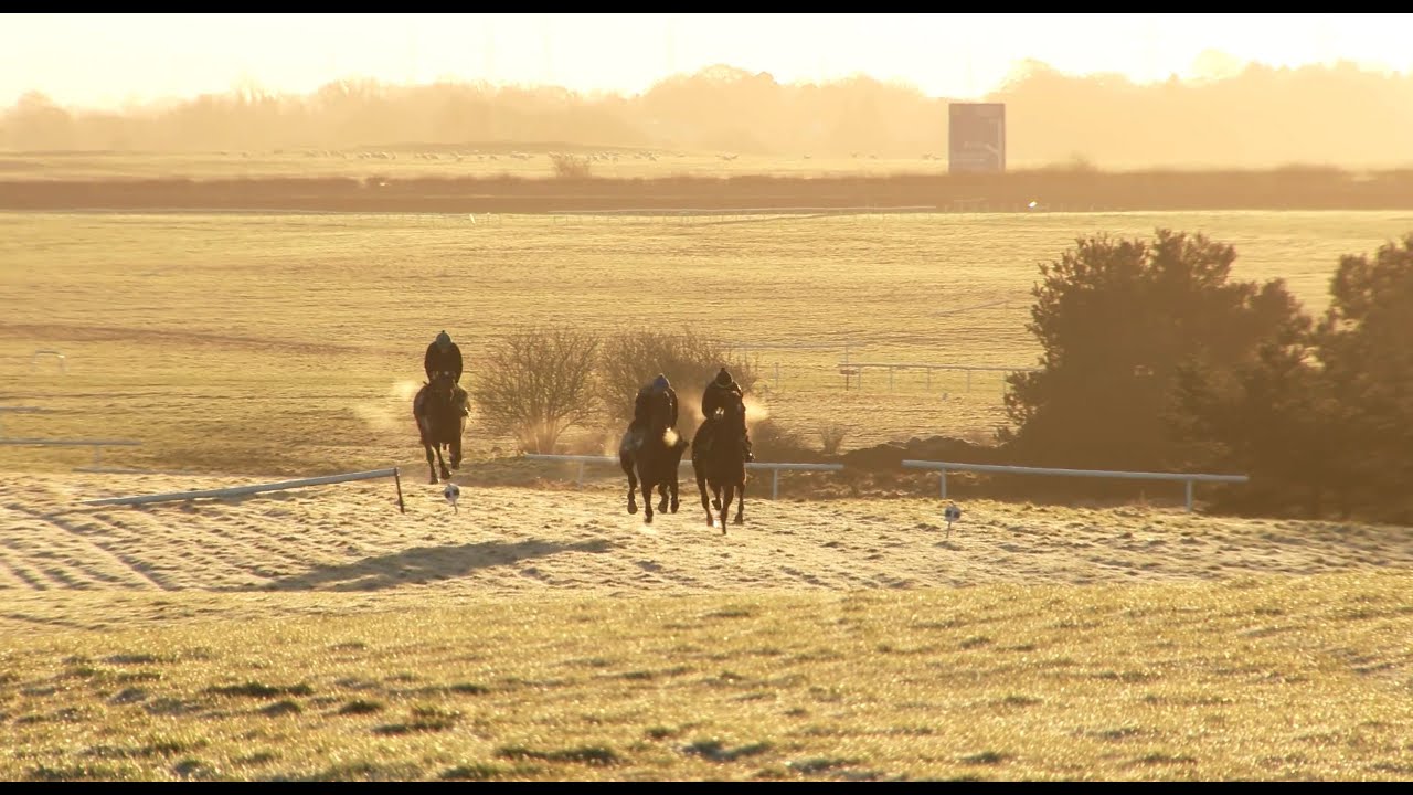 An insight into Dermot Weld's training regime