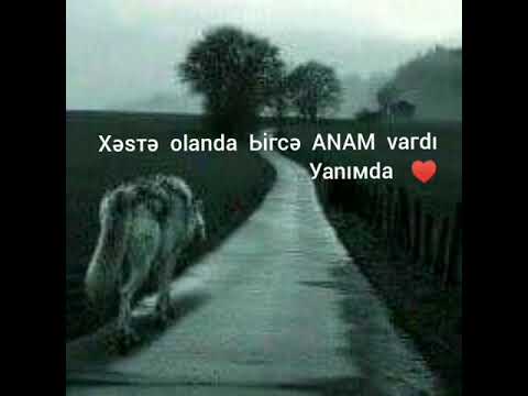 Ana Haqqında Video