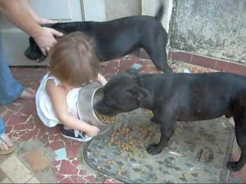 ANA LUIZA 3 X STAFFBULLS 0