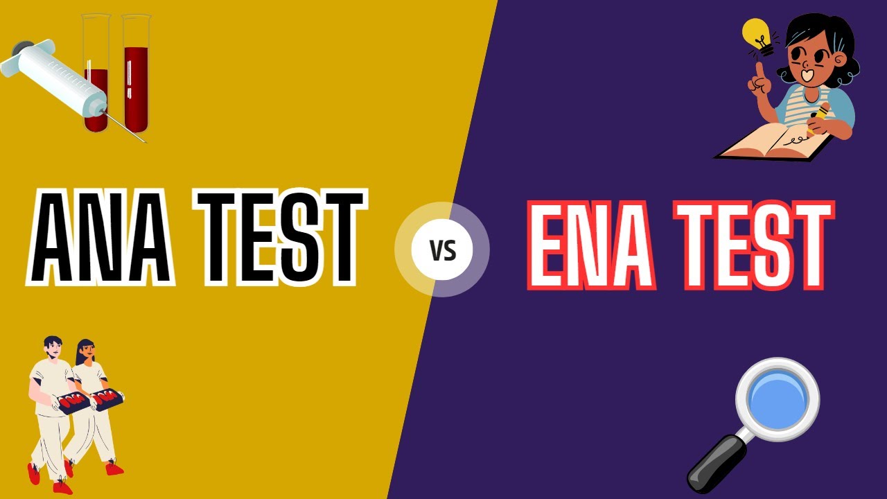 ANA vs ENA blood test | Why ANA and ENA blood test recommended | medicalcore