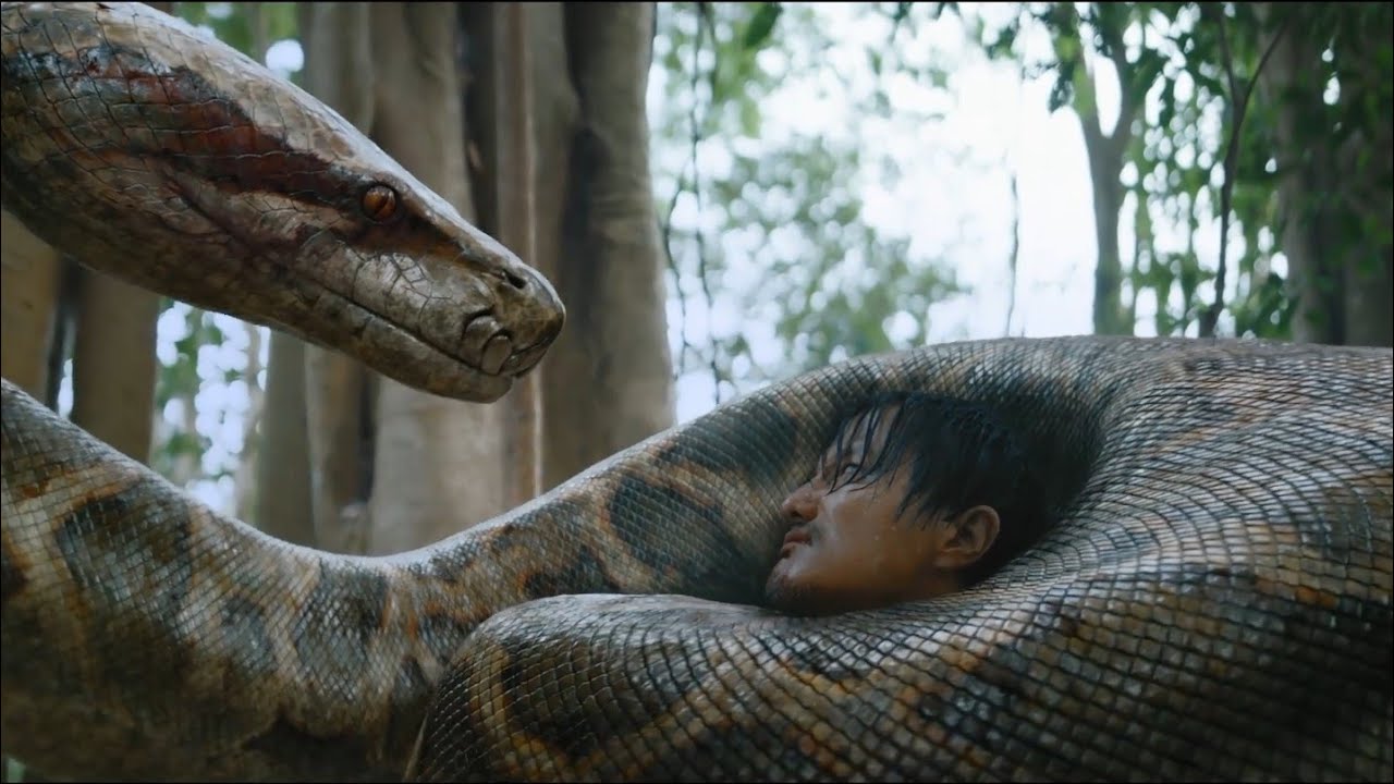Anaconda [2024] Crimson Anaconda Screen Time