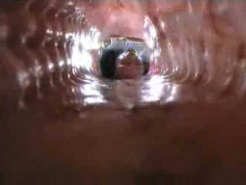 anaconda vore