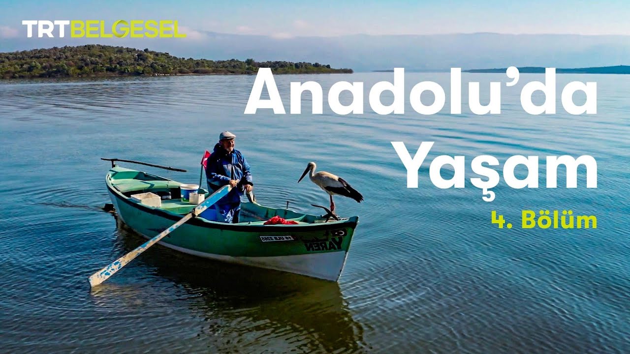 Anadolu'da Yaşam | Göl | TRT Belgesel