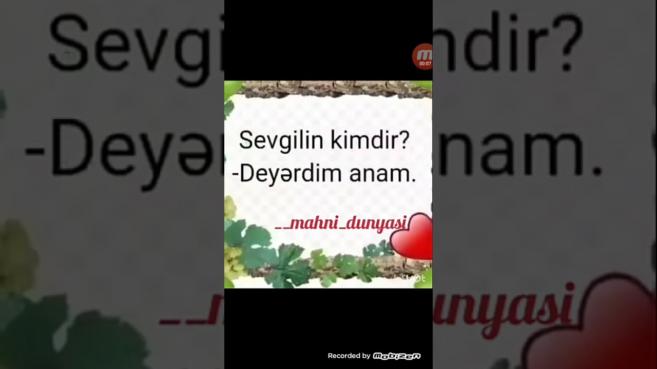 Anaya aid super seir