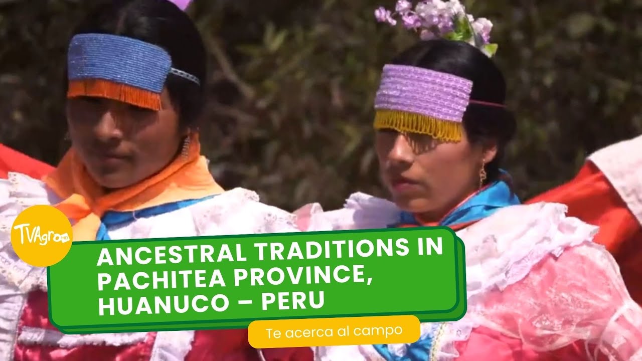 Ancestral traditions in Pachitea province, Huanuco – Peru