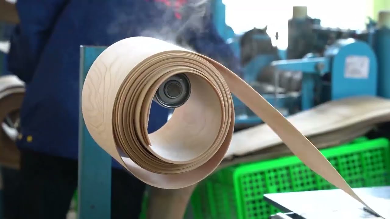 Ancheng: Your One-Stop Solution for Environmentally Friendly Disposable Tableware