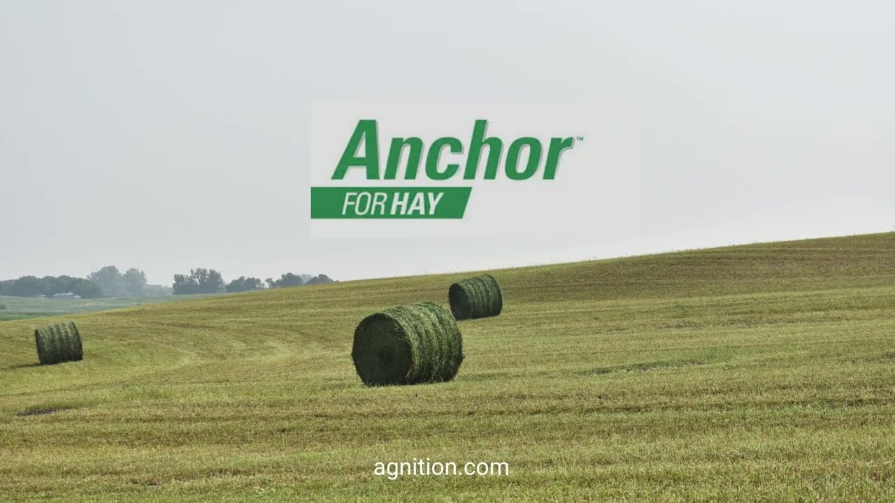 Anchor for Hay Promo Video