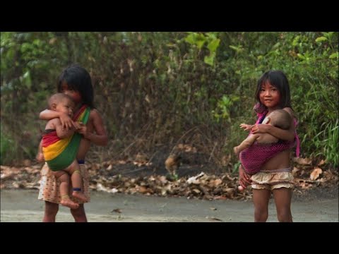 Ancient Brazilian tribe sharpens arrows against Amazon invaders