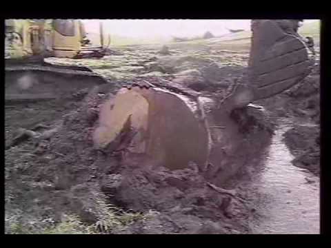 Ancient Kauri Extraction