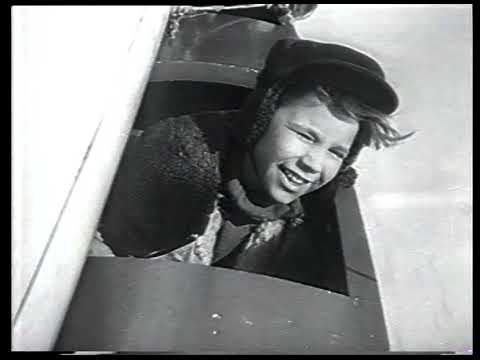Andersonskans Kalle 1950