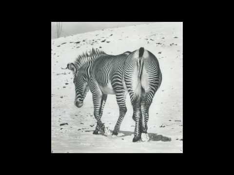 Andy Stott - Versi