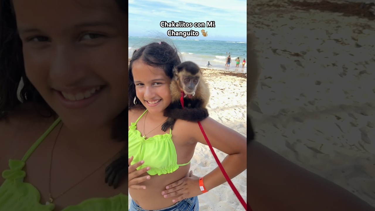 Angi Fire Bailando Chakalitos con un Monito 🐒 #shorts #freefire