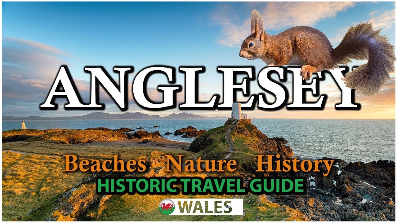 Anglesey Adventure: Ancient Ruins, Beaches, Rare Anglesey RED SQUIRRELS - North Wales