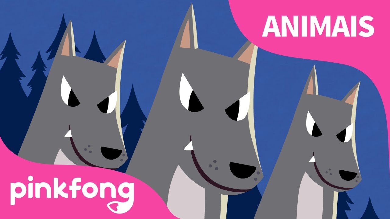 Animais Noturnos | Canções de Animais | Pinkfong Canções para Crianças