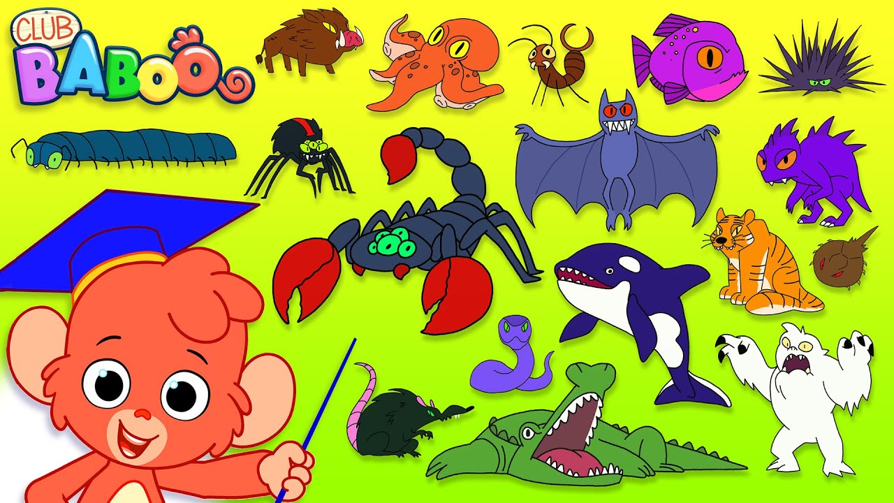 Animal ABC | Learn the alphabet with SCARY ANIMALS for children | abcd videos for kids A to Z esl