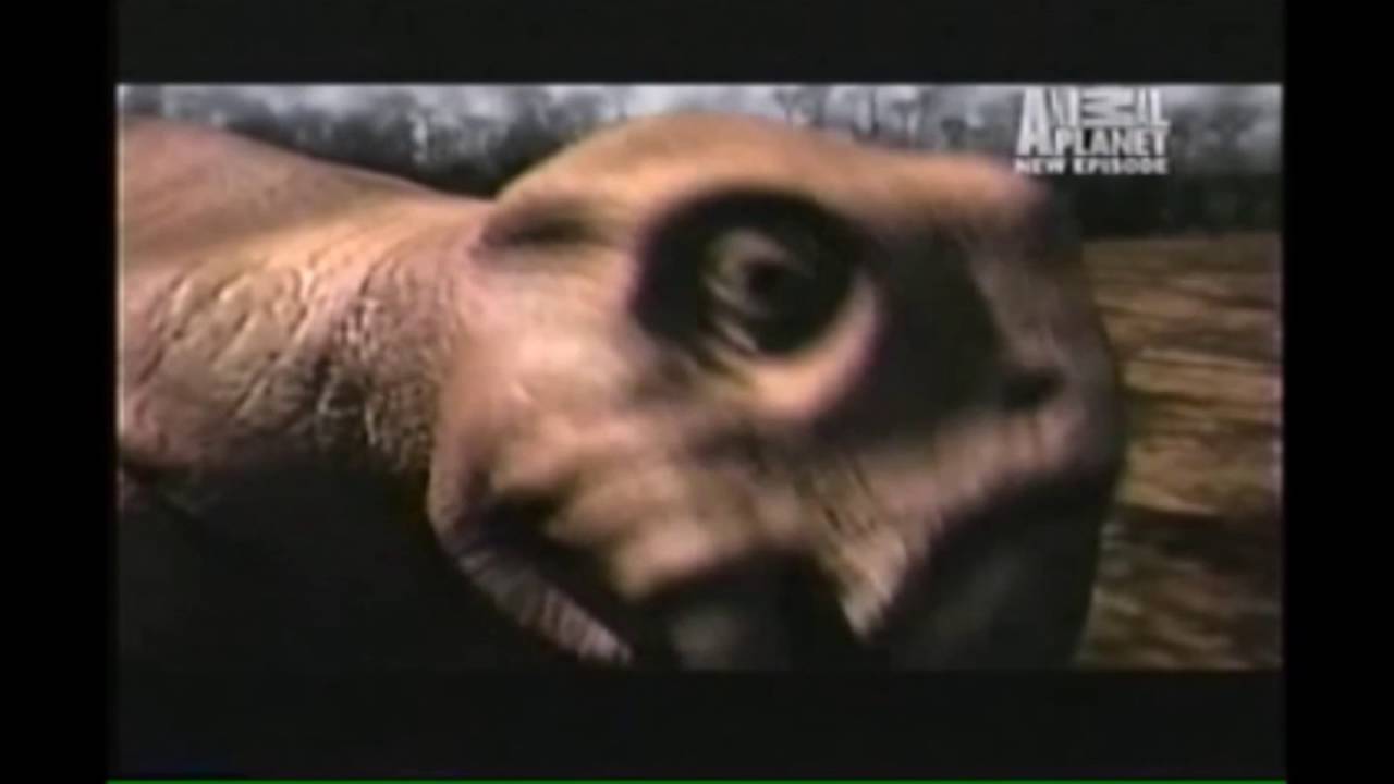 Animal Armageddon: Episode 5: The Great Dying (United States English Version)