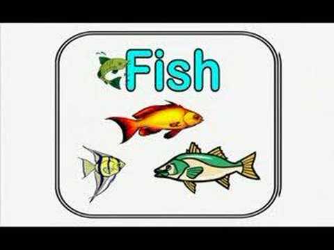 Animal Flashcards in English :: Early Education for Kids
