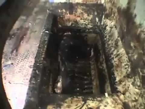 Animal Grinding  Machine (REAL GRAPHIC)