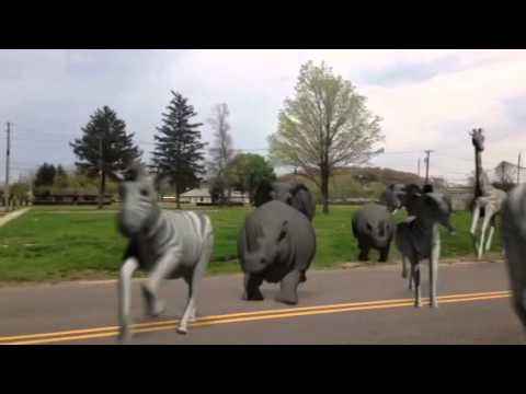Animal stampede FX