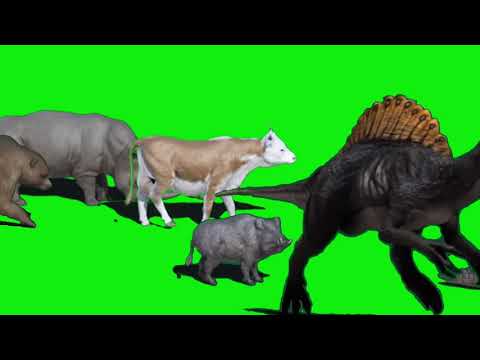 Animal Stampede