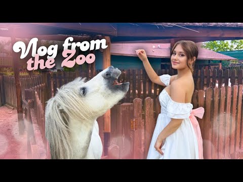 Animal Therapy at the Zoo
