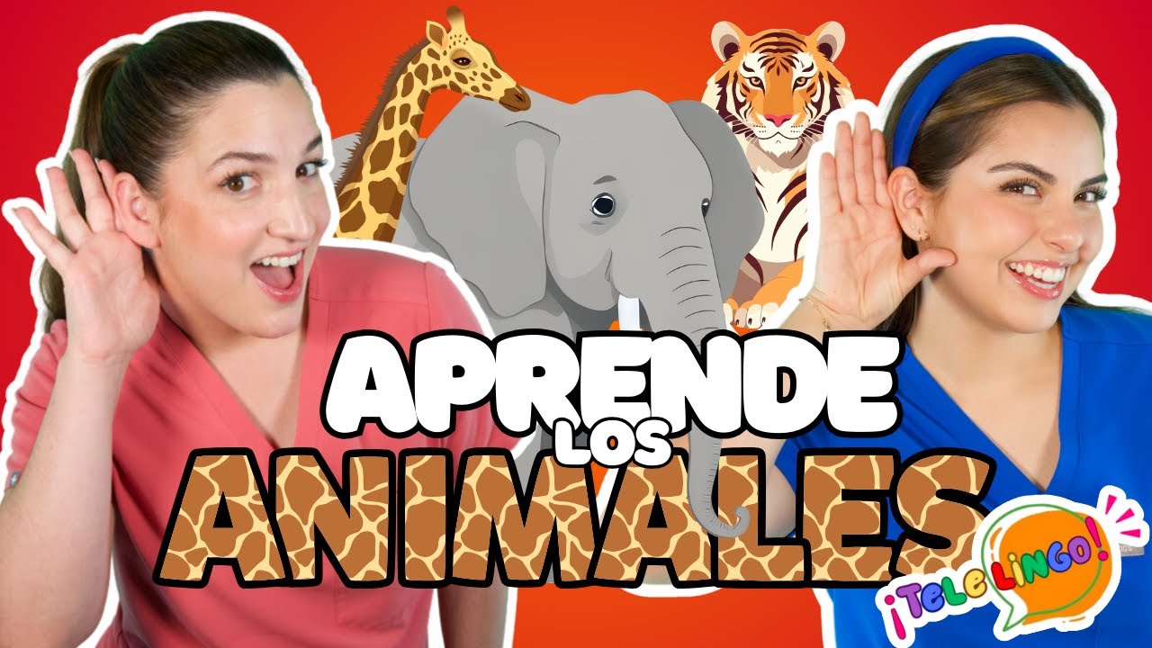 Animales, Colores y Más | Aprende Español | Spanish Learning Video for Babies & Toddlers | TeleLingo